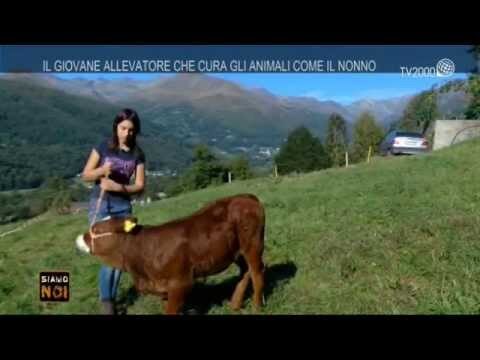 I Migliori Ristoranti in Valchiusella