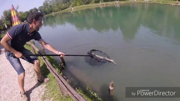 Scopri il Formaggio Due Laghi: Eccellenza Casearia Italiana